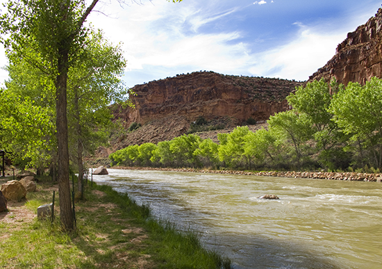 Photo of the Rio Chama Below the Abiquiu Lake Dam